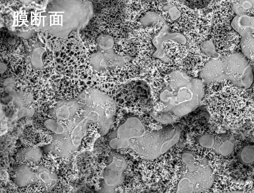 J9集团国际站烧结管式膜电镜照片 J9集团国际站烧结管式膜电镜照片