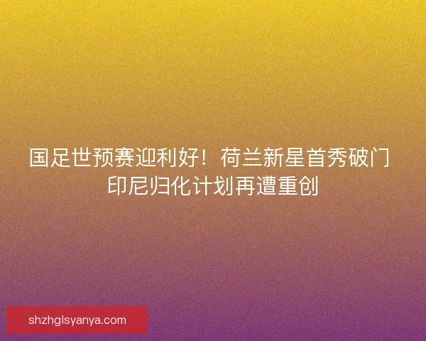 国足世预赛迎利好！荷兰新星首秀破门 印尼归化计划再遭重创