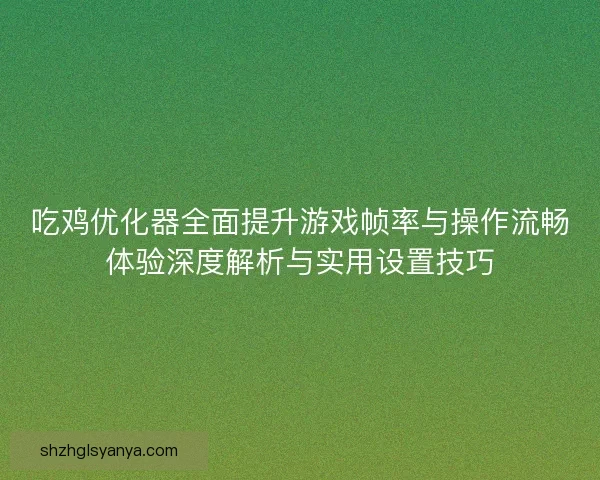 吃鸡优化器全面提升游戏帧率与操作流畅体验深度解析与实用设置技巧